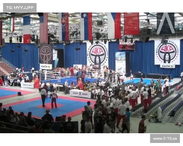 世界格斗系列赛事 世界格斗大会